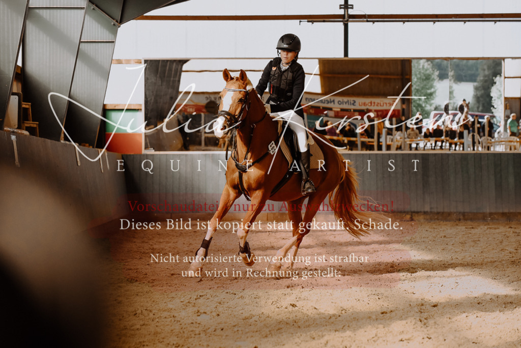 DSC_7453 | Pferde- und Turnierfotografie in Westsachsen. Pferdeportraits, Auftragszeichnungen und intuitive Kunst.