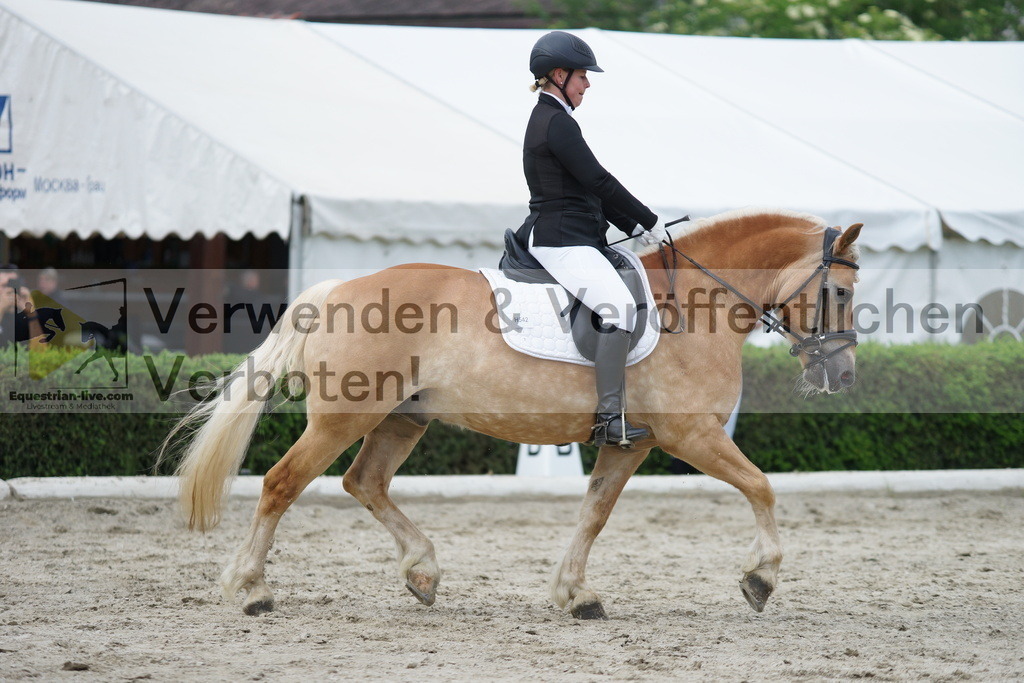 DSC05454 | equestrian-live-com