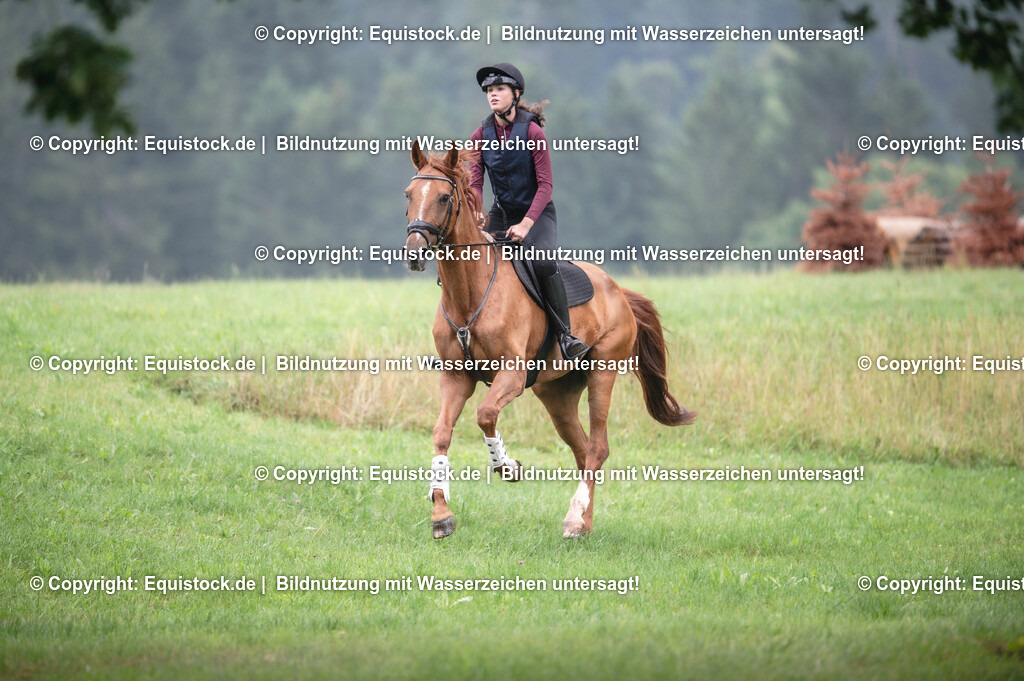 20250726_Vielseitigkeitslehrgang-Marbach_0311 | Foto: Thomas Hartig