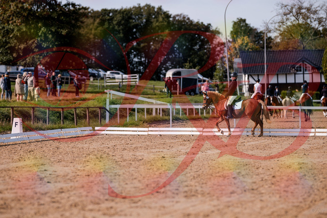 2026_10_03_Siefer-Hof_122025_Z81_20554196 | Professionelle Reitsport-, Turnier- und Eventfotografie von Robert Broda. Galerien mit ausgewählten und bearbeiteten Bildern direkt online ansehen und bestellen.