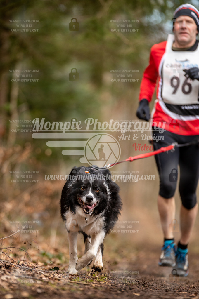 Reiat2023_SAM_CaniXRun_8km_M-3 | PayLife