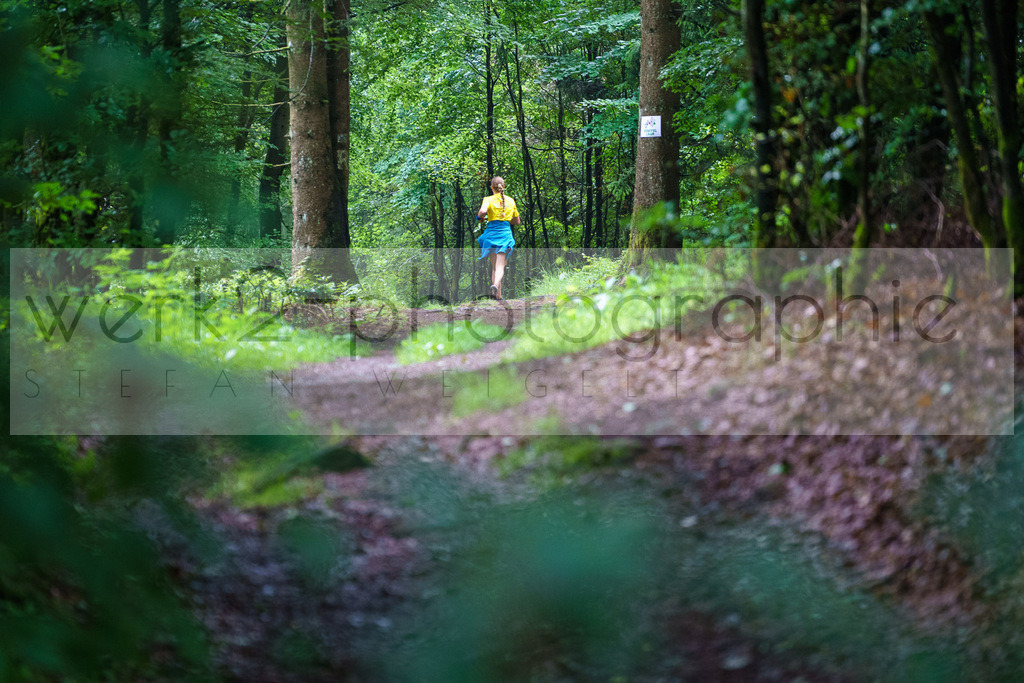 Rennsteig-Staffellauf | 24. Staffellauf - 22.06.2024 von Hörschel nach Blankenstein