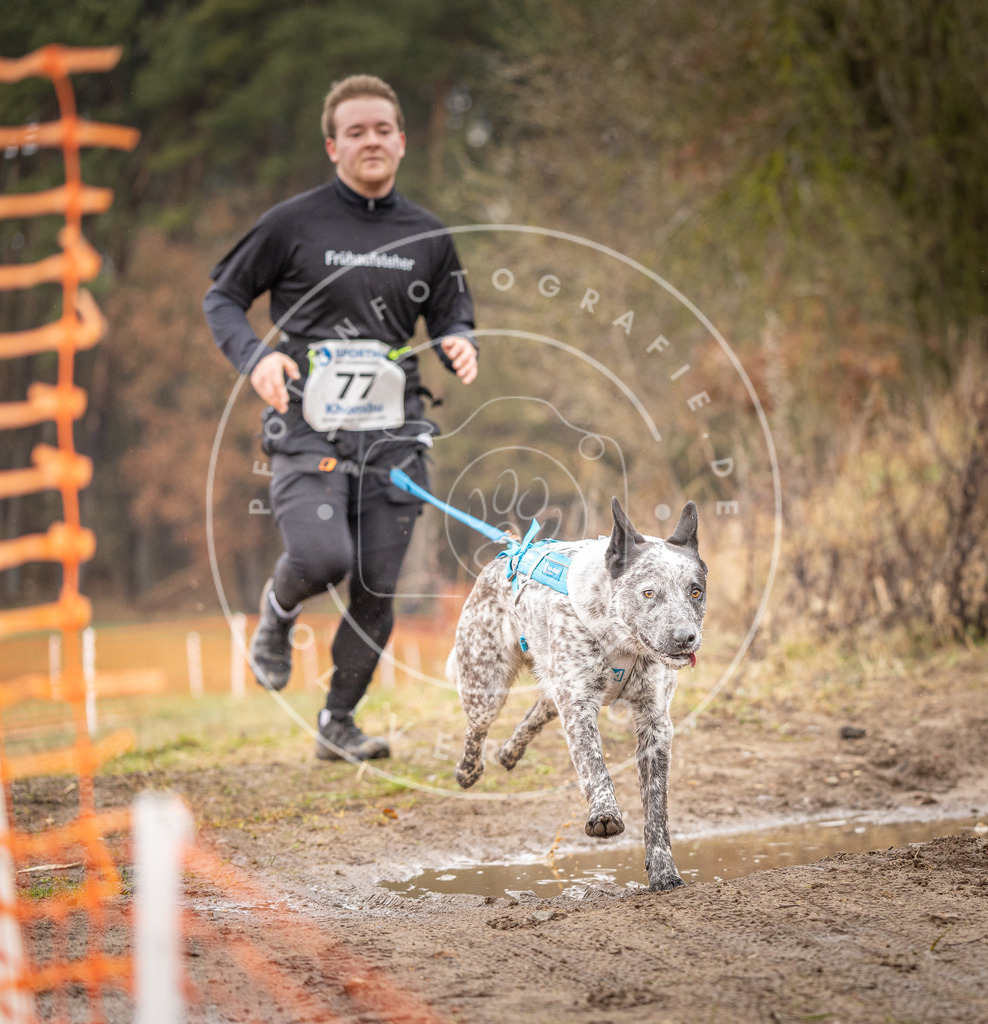 DV3A0283 | Hundefotografie, Tierfotograf, Pfotenfotografie, Fotoshooting Hund, Hunde Portrait, Hundesport, Hundeportraits, Heideshooting, Hunde, Sportfotograf, Hundefotograf, Turnierhundsport, THS,  - Realisiert mit Pictrs.com