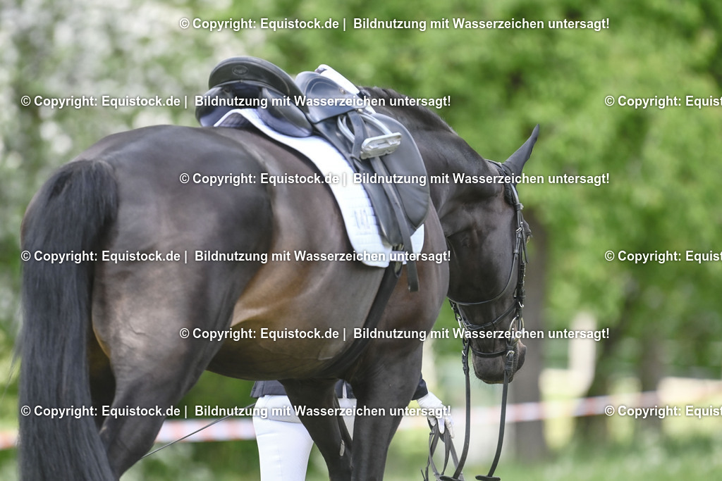 20250516_Impressionen_0087 | Foto: Thomas Hartig