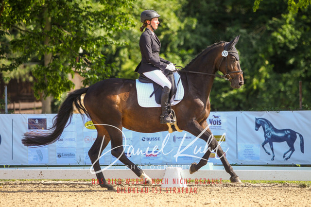 DKP42914 | Turnierfotos kaufen im Webshop von Daniel Kuhl Photography – entdecke professionelle Reitsportfotos aus Turnieren & Events. Hochwertige Turnierbilder online bestellen & sichern. Jetzt Fotos von Reitsportturnieren kaufen!