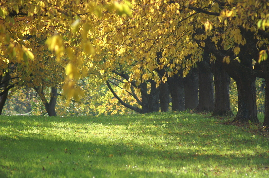 PICT0397 | klausulrichmoeller