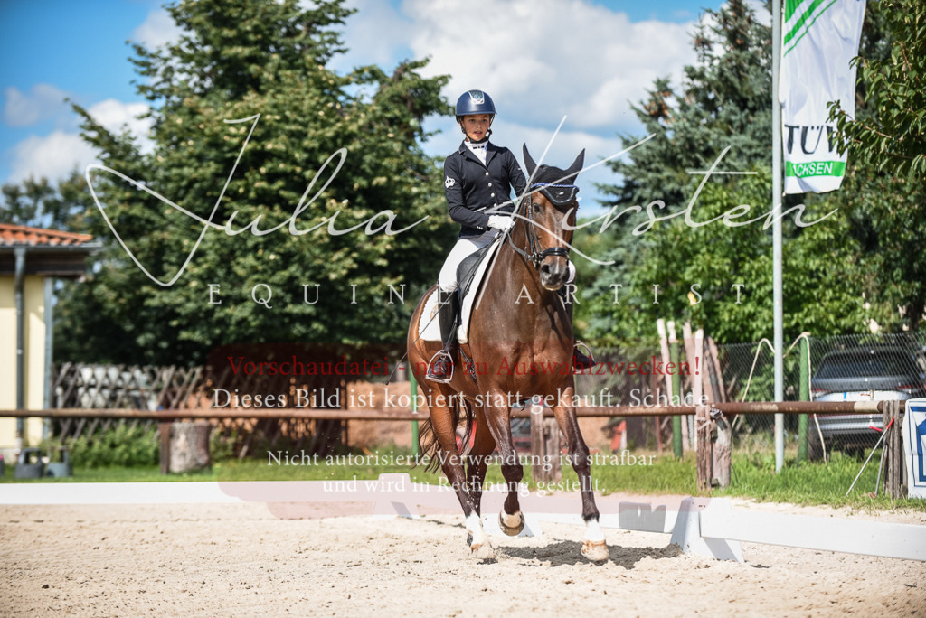 DSC_9421 | Pferde- und Turnierfotografie in Westsachsen. Pferdeportraits, Auftragszeichnungen und intuitive Kunst.