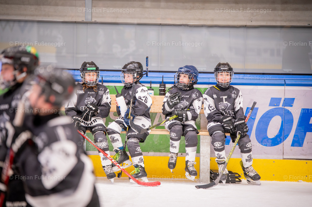 DSC_3710 | "Fussifoto.com – Ihr Ansprechpartner für hochwertige Fotografie! Entdecken Sie kreative Bilder und professionelle Dienstleistungen. Kontaktieren Sie uns für Ihre Projekte!"