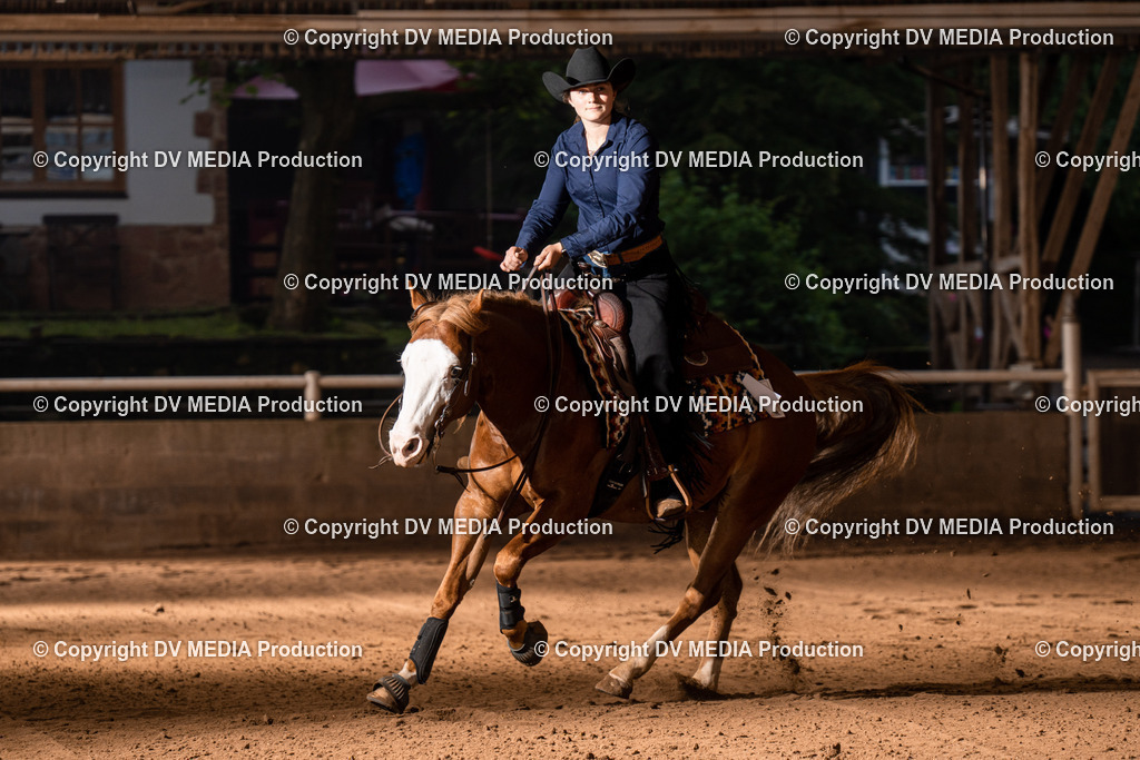 Erbach Tag 2-1124 | dv-media-shop - Realisiert mit Pictrs.com