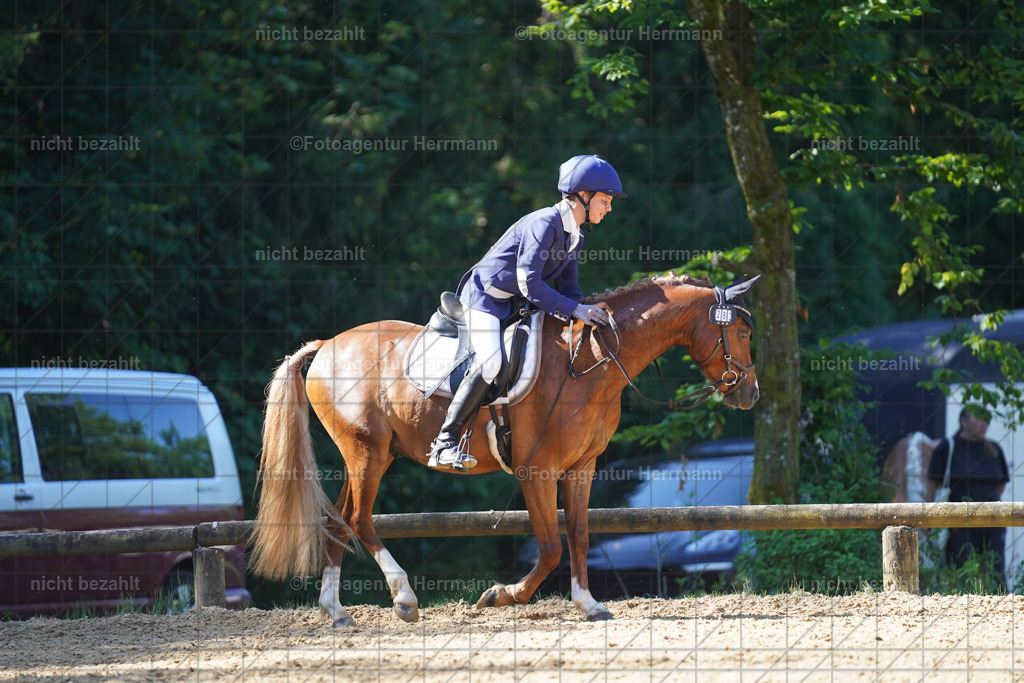 20240706-FAH04633 | Grafing Turnierfotos, Reitverein Ebersberg, Turnierfotografen Bayern, reitsportbilder, Pferdefotograf, reitsportfotograf, Sportbilder, Reitsportfotografie, Fotoagentur Herrmann, Turnierfotograf