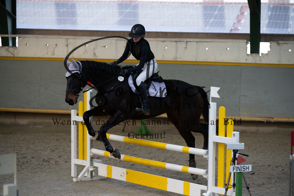 A7V01611 | Pferdefotograf