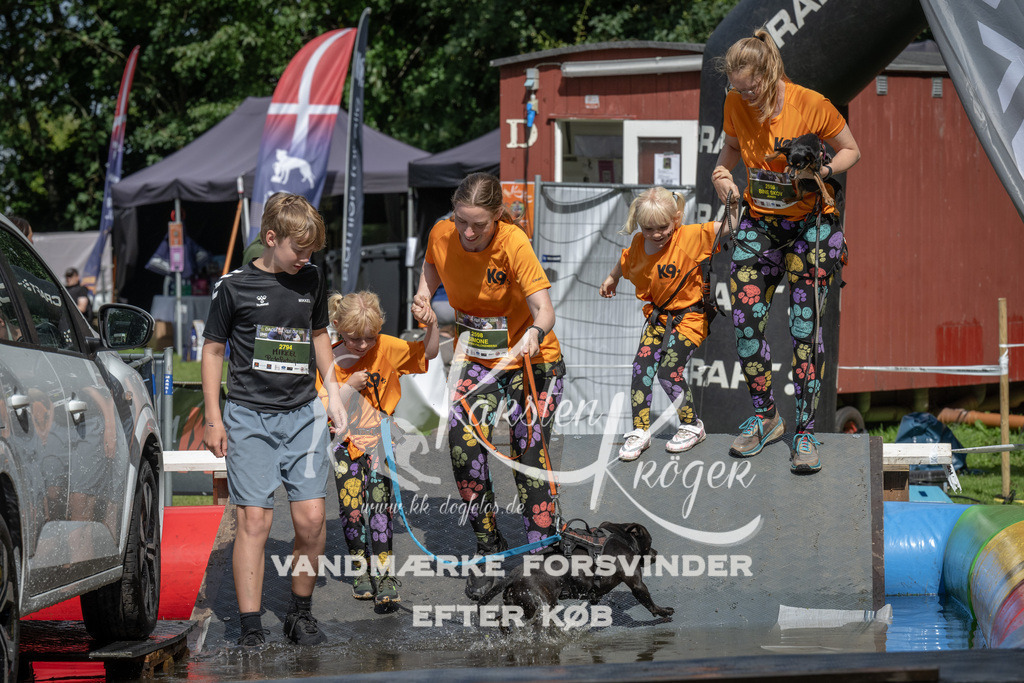 1448_ZZ92541 | kk-dogfotos