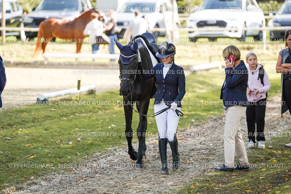 DSC06618 | Pferdegrafie