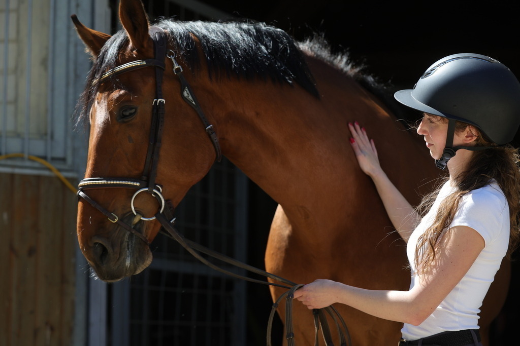 0P6A8694 | Willkommen bei Brunnmayr - Design & Fotografie – Ihrem Spezialisten für Reitturniere und Pferdeveranstaltungen in Oberösterreich, Salzburg und Bayern! Seit über 17 Jahren sind wir leidenschaftlich dabei.