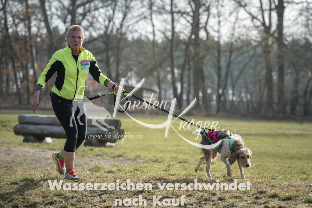 1312_ZZ95133 | kk-dogfotos