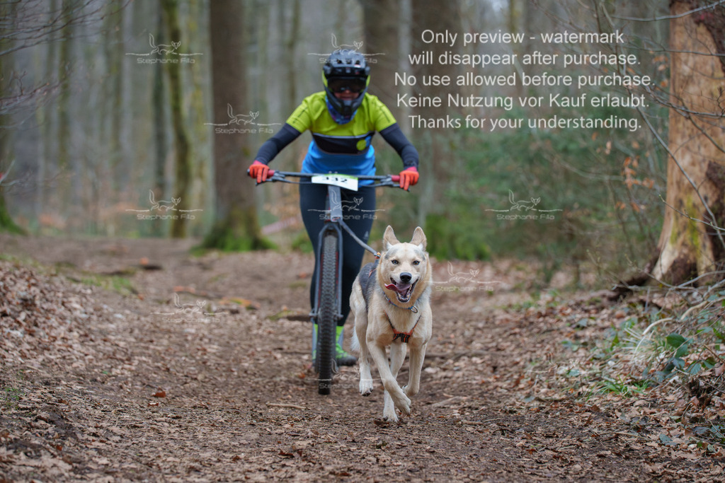 Scooter_So-113 | stephaniefillaphotographie - Realisiert mit Pictrs.com