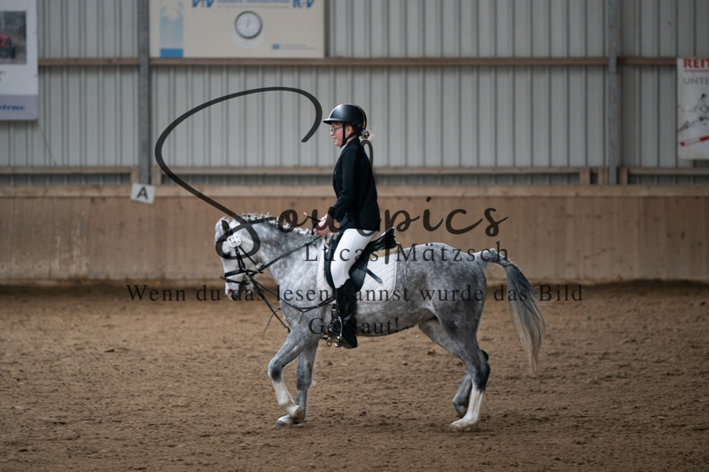 A7V04683 | Pferdefotograf