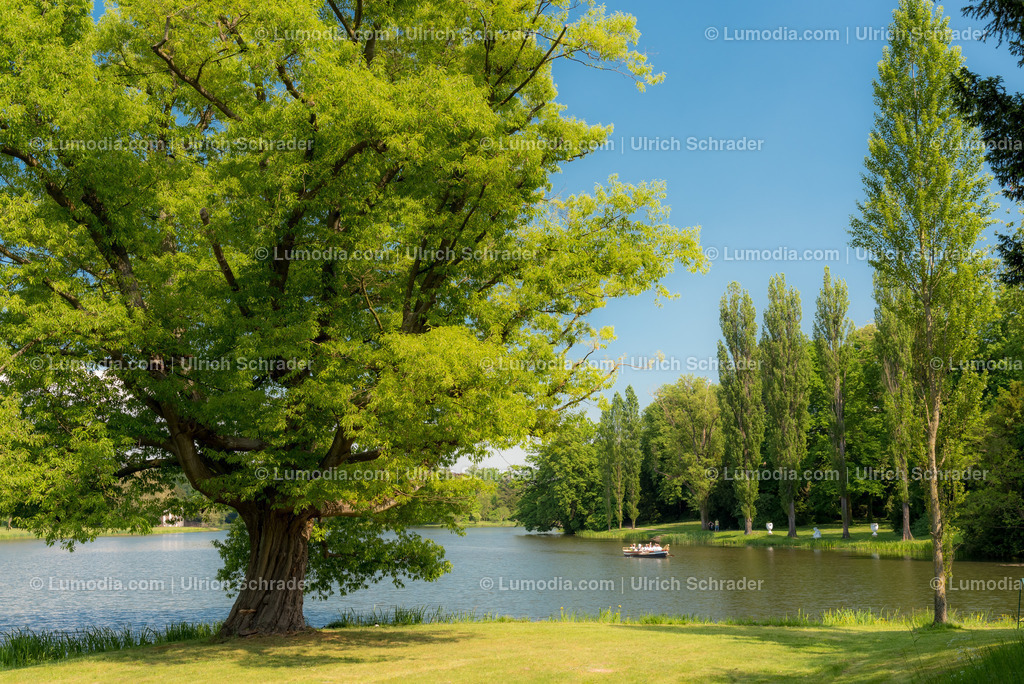 10049-5634 - Wörlitzer Park _ Sachsen Anhalt | Stockfoto und Bilderpool mit Bildmaterial aus Deutschland, dem Harz, Halberstadt, Quedlinburg, Wernigerode und weltweit. Qualitativ hochwertige und professionelle Fotos anschauen und kaufen. - Realisiert mit Pictrs.com
