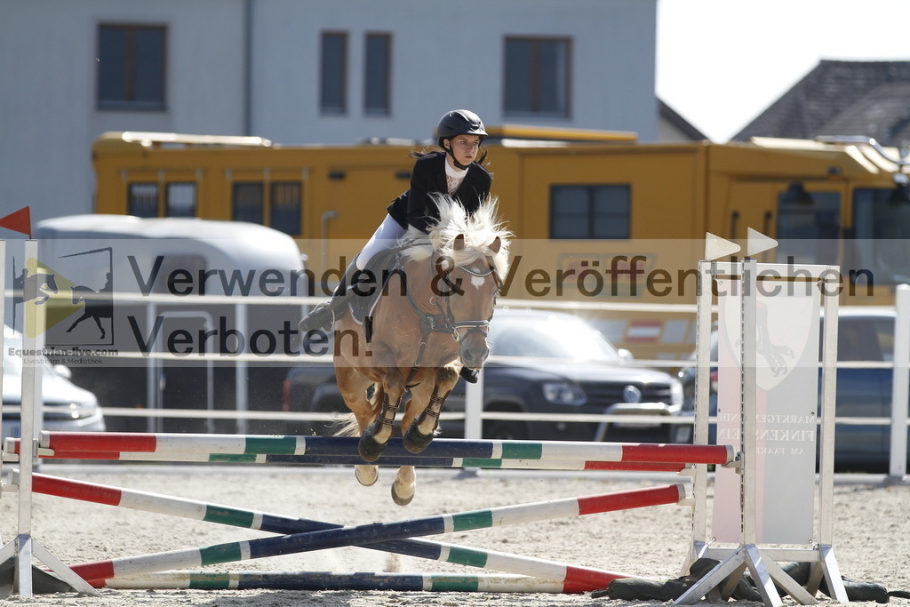 _MG_3500 | equestrian-live-com