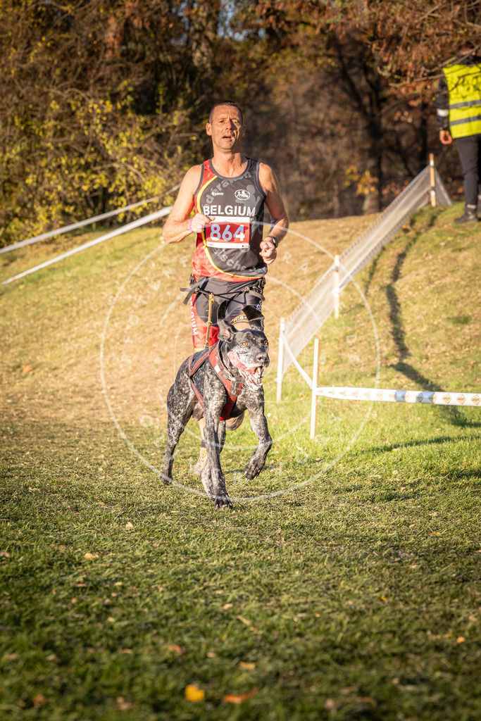 CaniXpix_0L8A0973 | Hundefotografie, Tierfotograf, Pfotenfotografie, Fotoshooting Hund, Hunde Portrait, Hundesport, Hundeportraits, Heideshooting, Hunde, Sportfotograf, Hundefotograf, Turnierhundsport, THS,  - Realisiert mit Pictrs.com
