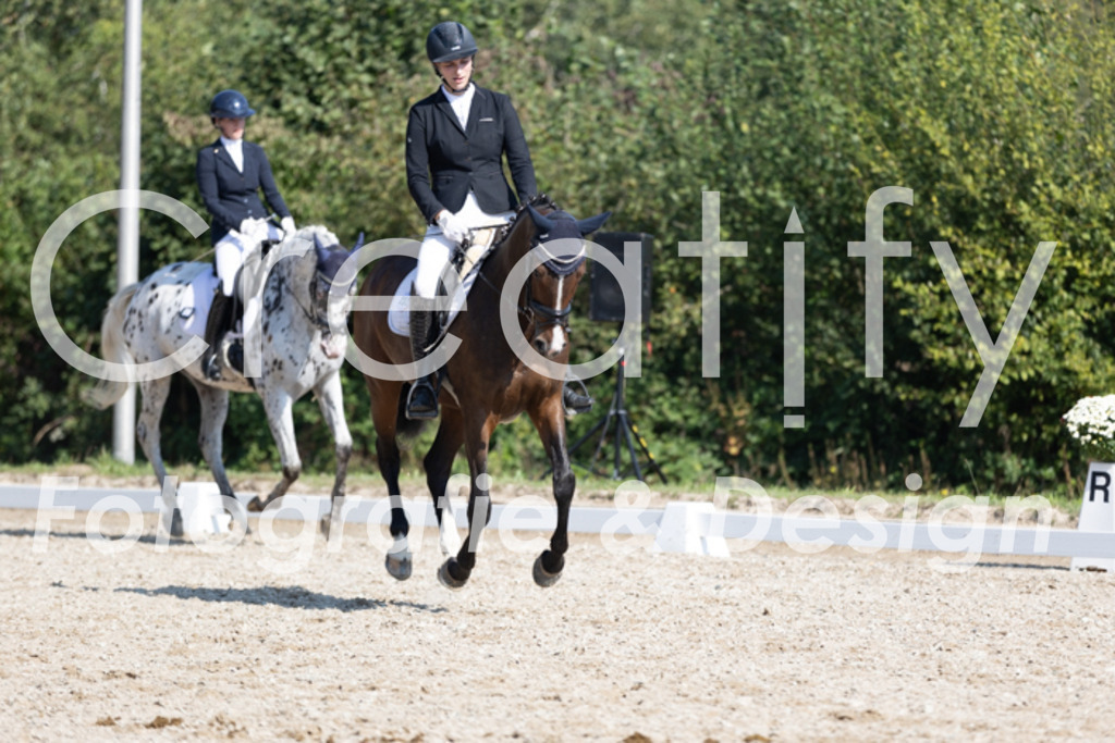 IMG_4651 | Creatify Fotografie