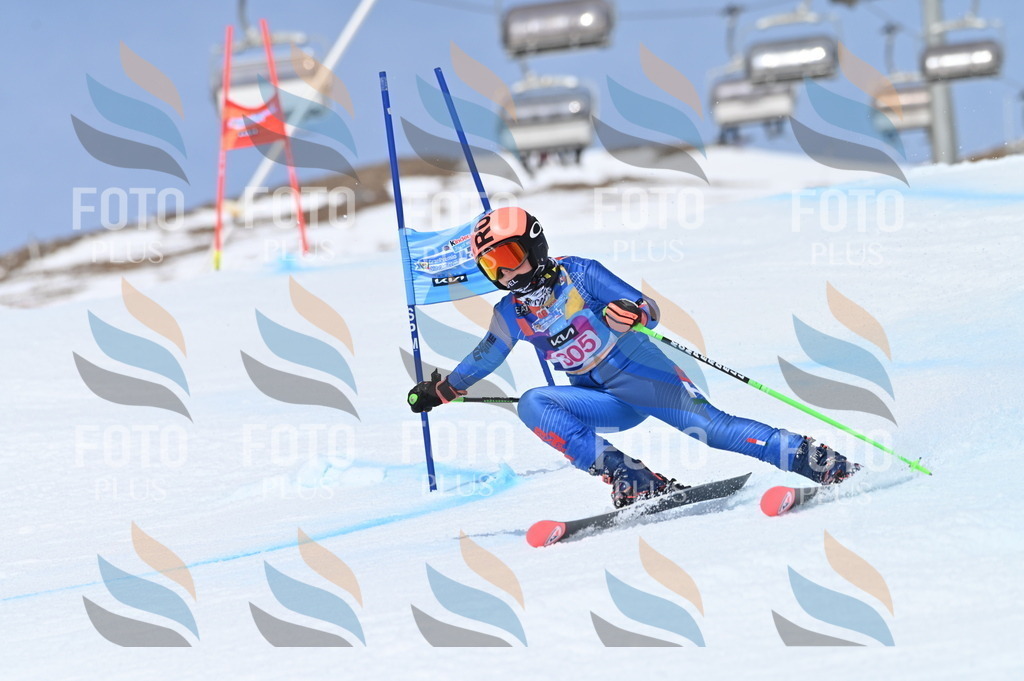 BGV_2848 | holidayphoto