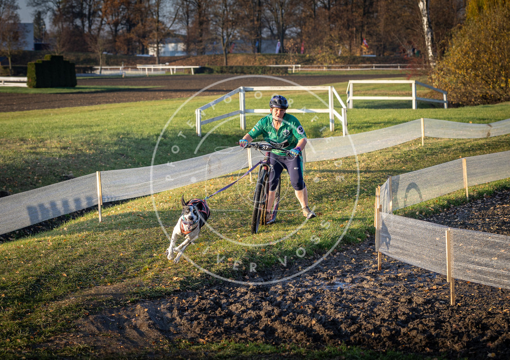 CaniXpix_DV3A0146 | Hundefotografie, Tierfotograf, Pfotenfotografie, Fotoshooting Hund, Hunde Portrait, Hundesport, Hundeportraits, Heideshooting, Hunde, Sportfotograf, Hundefotograf, Turnierhundsport, THS,  - Realisiert mit Pictrs.com