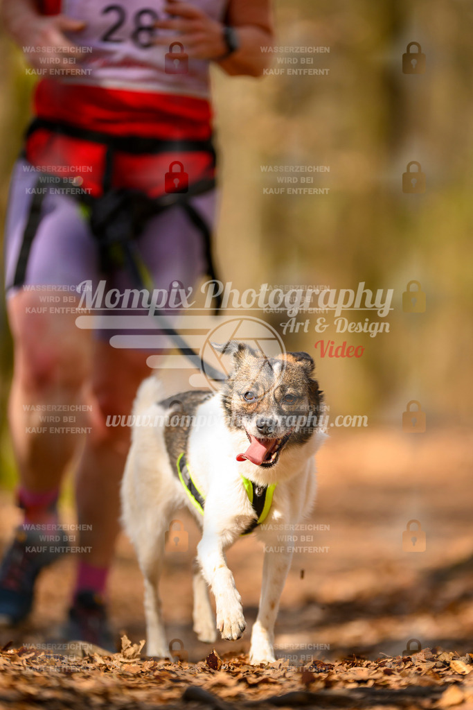 MompixPhotography_Habay2025_SA_CCC-178 | PayLife