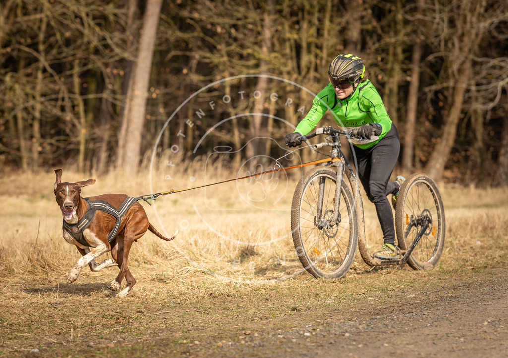 DV3A4793 | Hundefotografie, Tierfotograf, Pfotenfotografie, Fotoshooting Hund, Hunde Portrait, Hundesport, Hundeportraits, Heideshooting, Hunde, Sportfotograf, Hundefotograf, Turnierhundsport, THS,  - Realisiert mit Pictrs.com