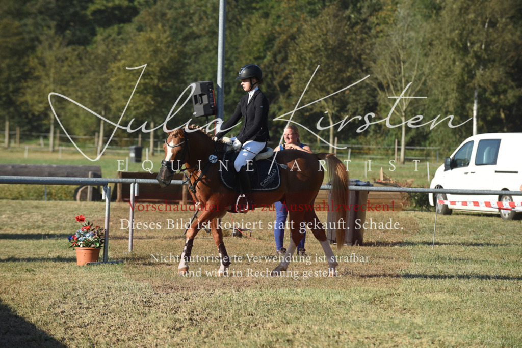 DSC_4992 | Pferde- und Turnierfotografie in Westsachsen. Pferdeportraits, Auftragszeichnungen und intuitive Kunst.