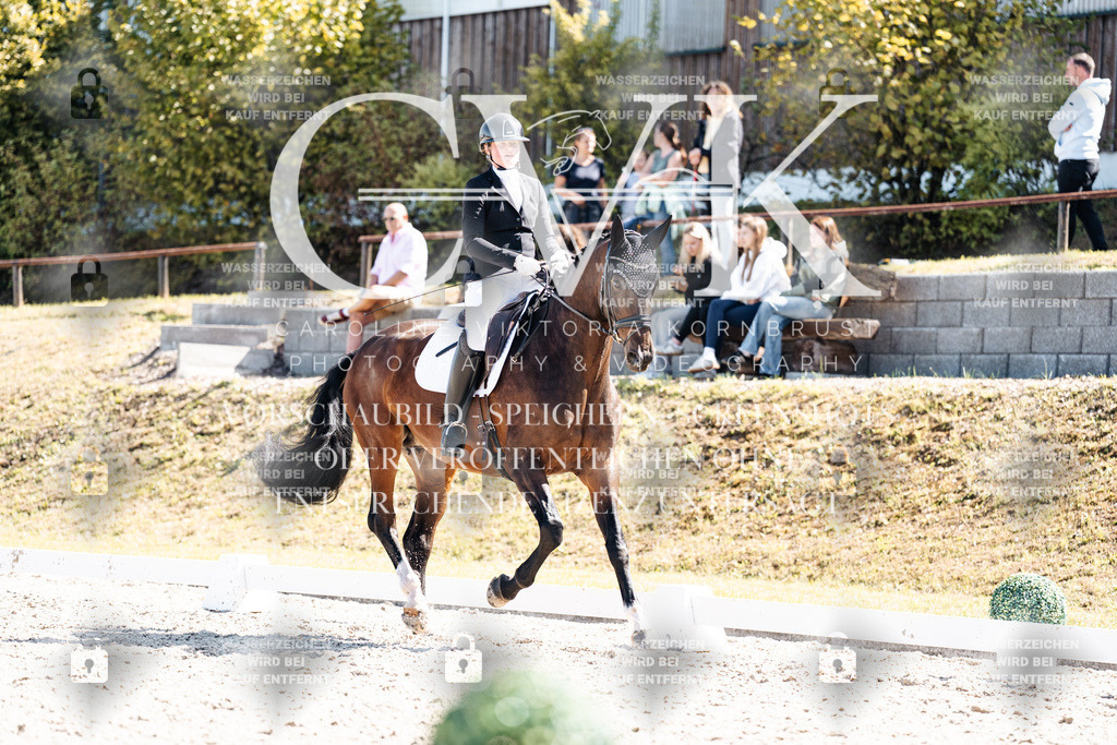 CK903456 | Turnierfotografie Pferdefotografie Trier Rheinland-Pfalz Pferdesport Reitsport Tierfotografie Sportfotografie Pferdevideo Pferdevideografie Equestrianvideography equestrianphotography  - Realisiert mit Pictrs.com