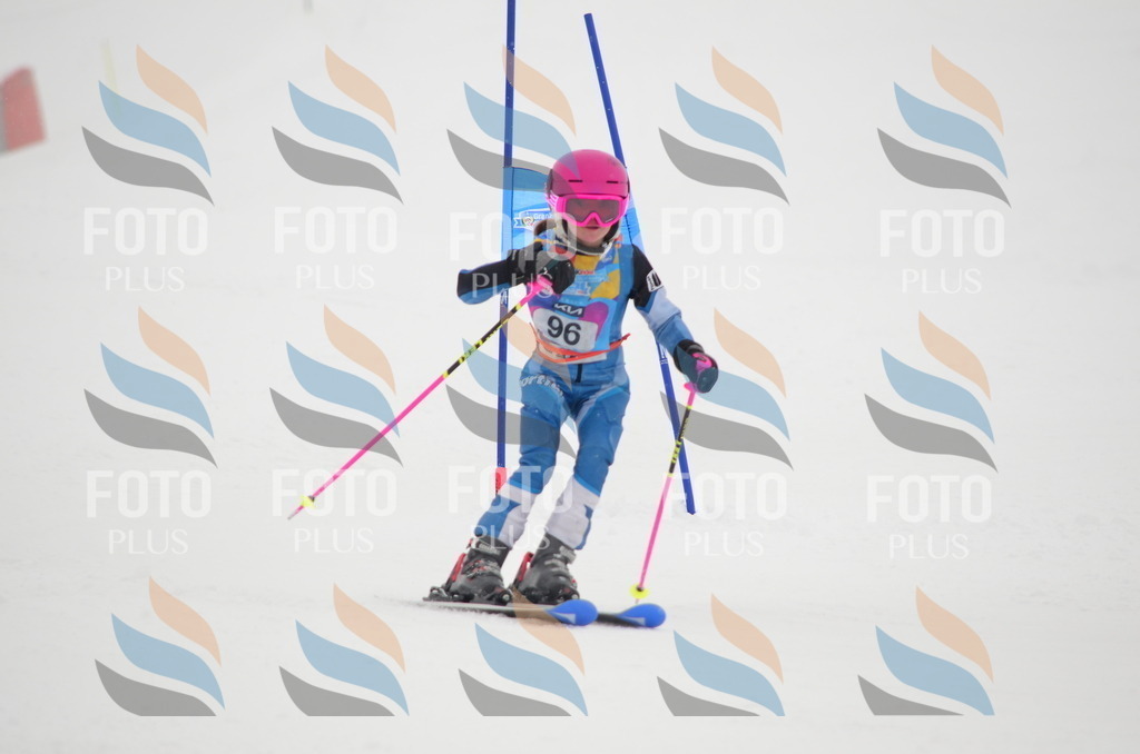 C1343 | holidayphoto