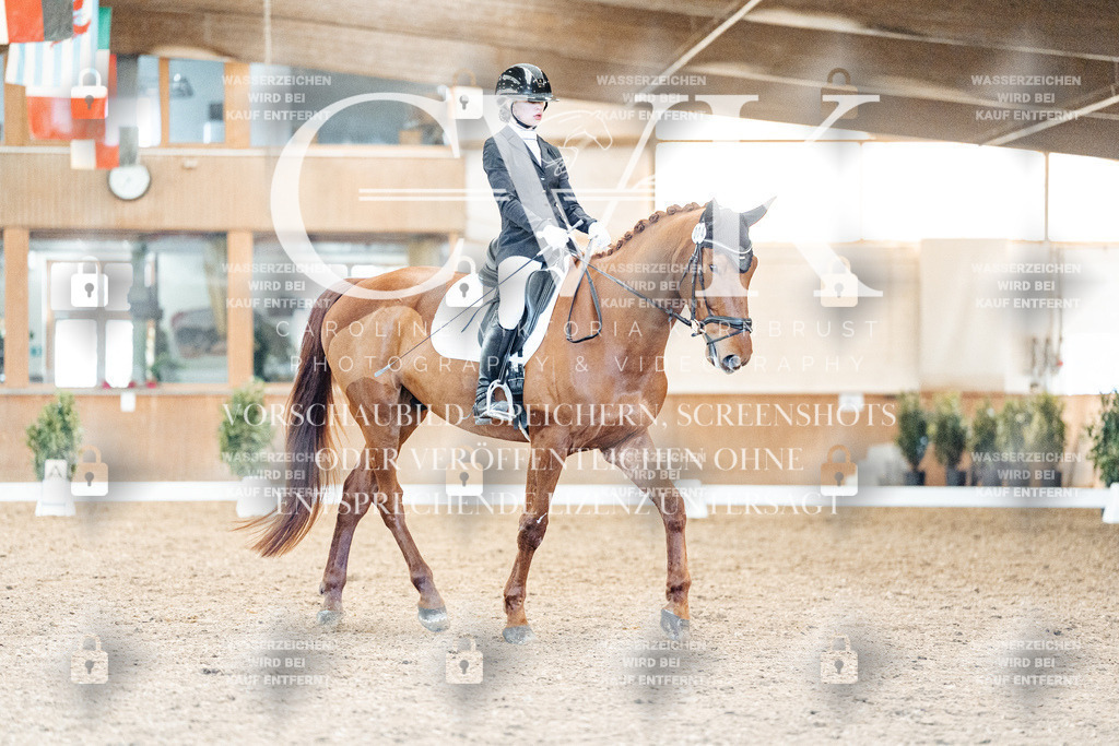 CK908669 | Turnierfotografie Pferdefotografie Trier Rheinland-Pfalz Pferdesport Reitsport Tierfotografie Sportfotografie Pferdevideo Pferdevideografie Equestrianvideography equestrianphotography  - Realisiert mit Pictrs.com