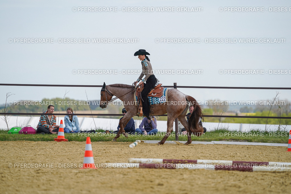 DSC04917 | Pferdegrafie