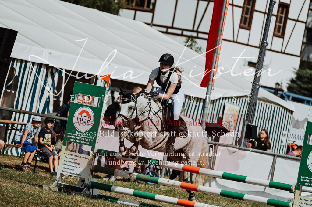 DSC_9448 | Pferde- und Turnierfotografie in Westsachsen. Pferdeportraits, Auftragszeichnungen und intuitive Kunst.