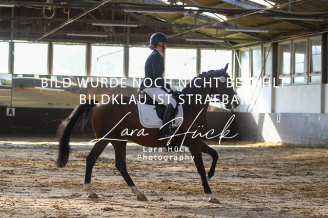 DKP45803 | larahueckfotografie