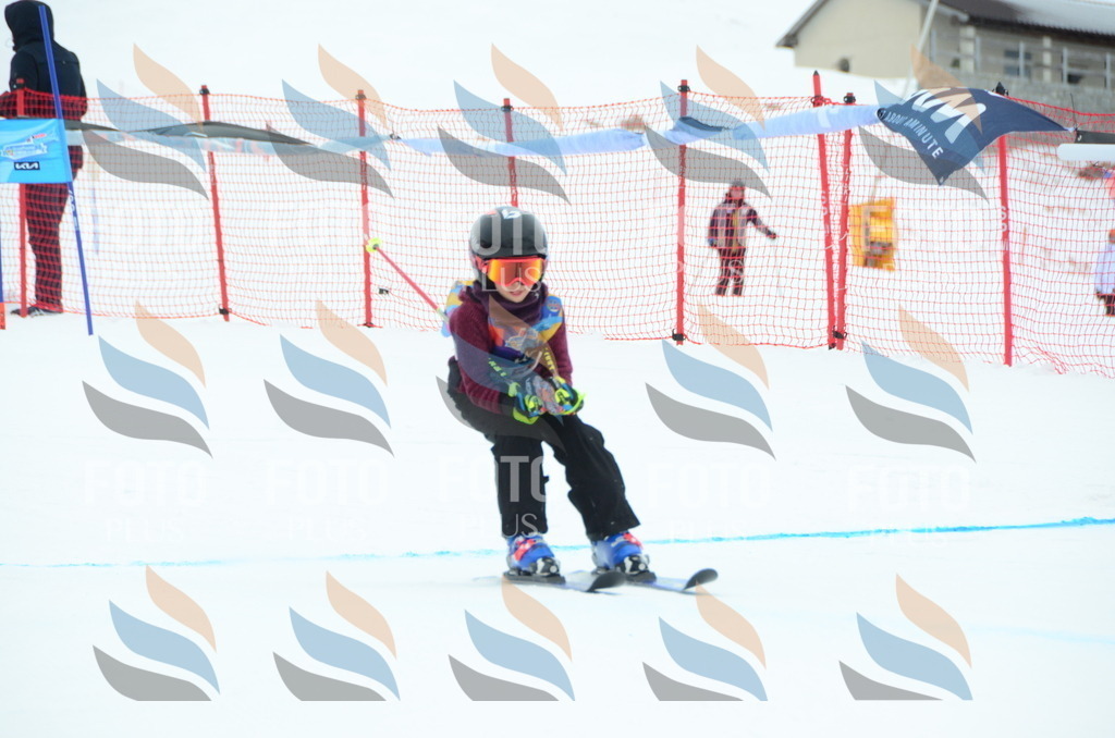 DSC_0982 | holidayphoto