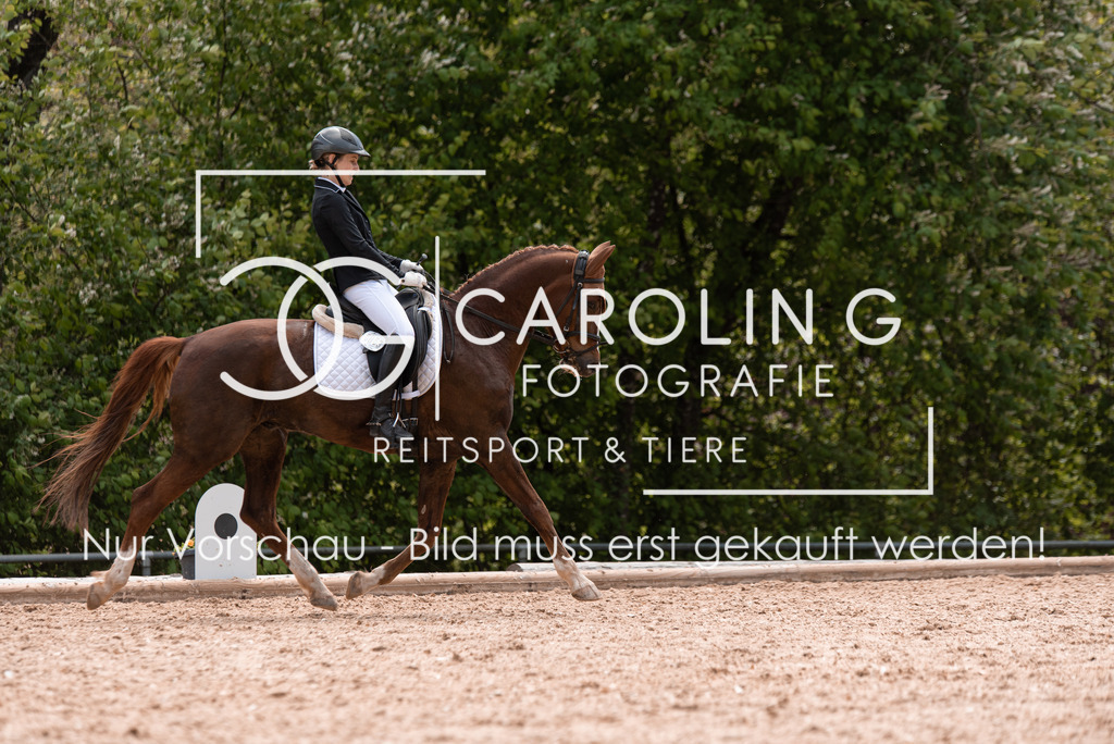 DSC_0376 | Turnierfotografin Carolin Gieschke, Turnierfotografie Carolin G Fotografie, Turnierfotos Kirchheim/Teck, Esslingen, Stuttgart, Bodenseekreis