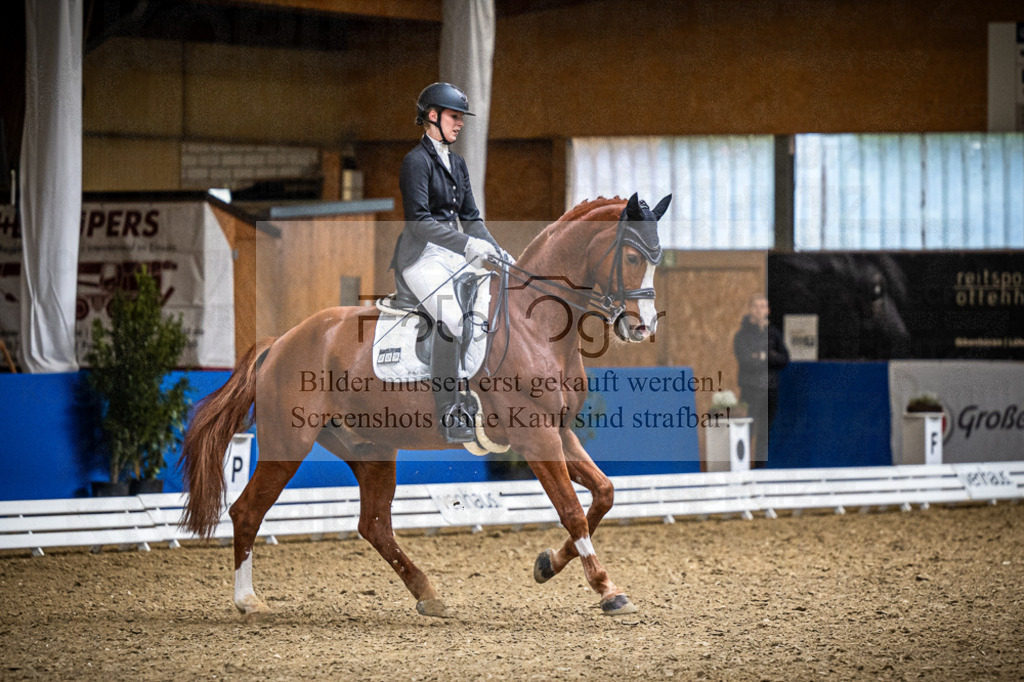 DOS_1870 | Entdecke hochwertige Reitturnierfotos von Foto Oger. Professionell, emotional und authentisch – jetzt Lieblingsmomente im Shop bestellen.Deutschlandweite Turnierfotografie. - Realisiert mit Pictrs.com