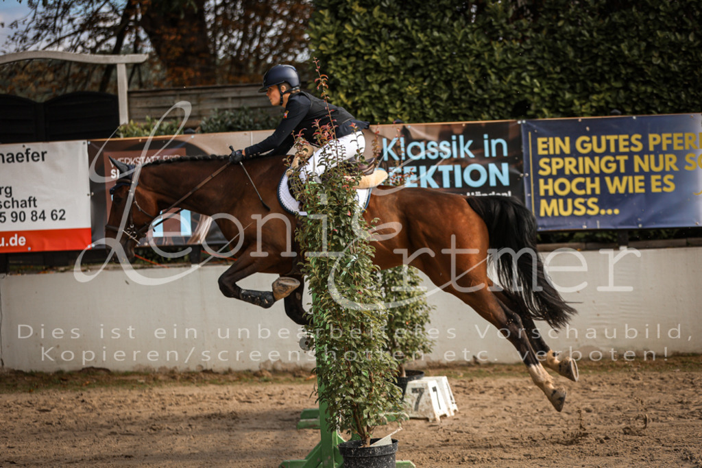 11_2.SaSpA00050 | Leoni Ertmer Photography - Realisiert mit Pictrs.com