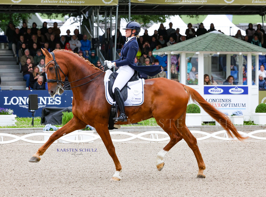 1B3A7201 | Reitsport Reiten