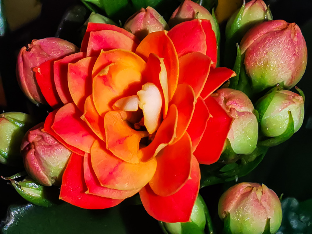 PSX_20230406_235107 | mtkfoto_ - Realisiert mit Pictrs.com