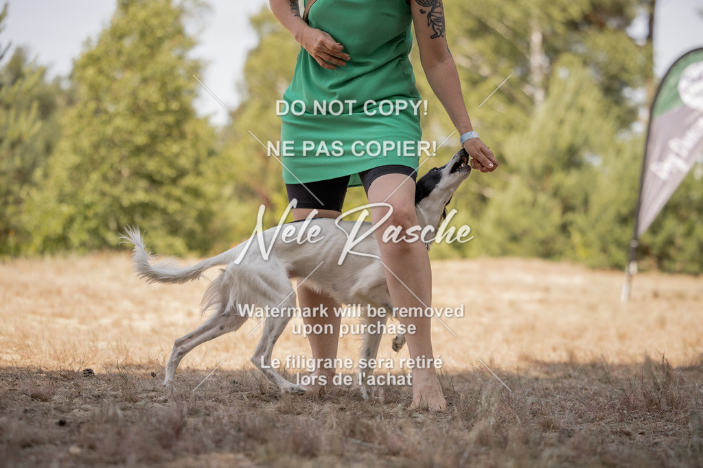 nelerasche_soDD2_431 | nelerasche