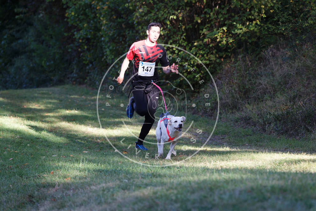 0L8A4939 | Hundefotografie, Tierfotograf, Pfotenfotografie, Fotoshooting Hund, Hunde Portrait, Hundesport, Hundeportraits, Heideshooting, Hunde, Sportfotograf, Hundefotograf, Turnierhundsport, THS,  - Realisiert mit Pictrs.com