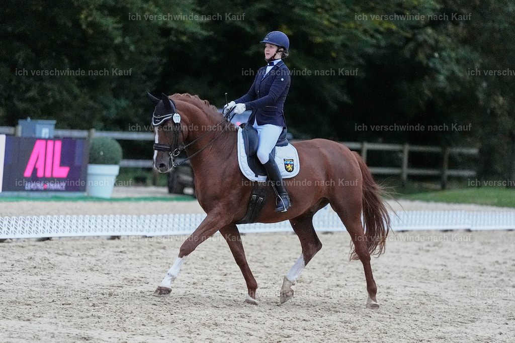 04_2-177-Dressur M__ -StoibPH-3022 | working equitationturnier fotograf videograf stoibphotography marixx film working equitation deutschland reitsport turnierfotografie eventfotografie equestrian events