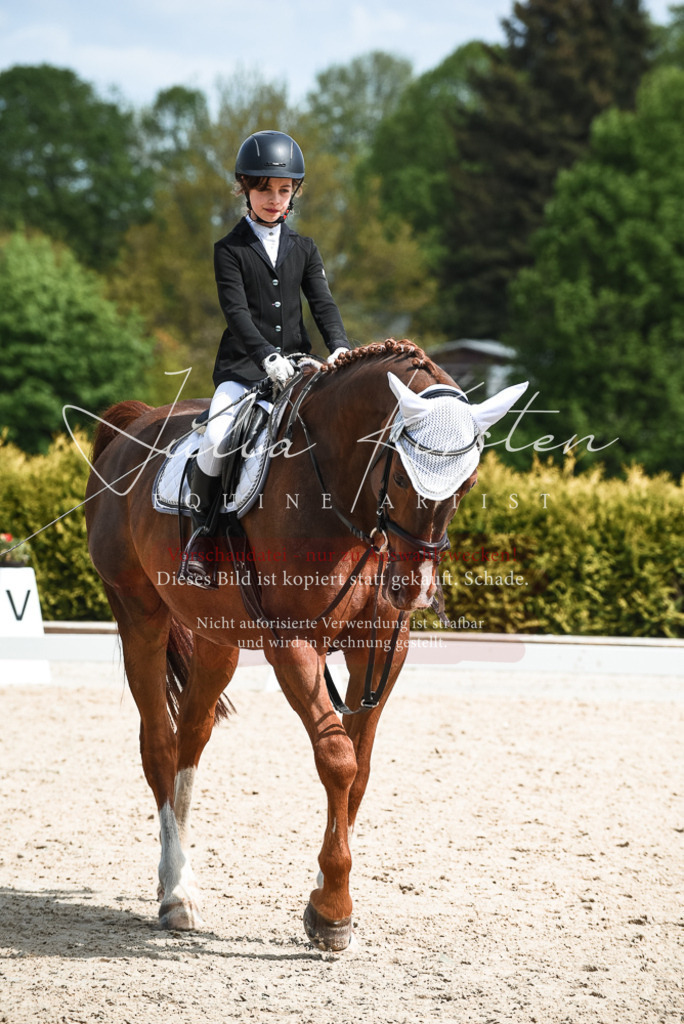 20230518_JK-Röhrsdorf-11-0865 | Pferde- und Turnierfotografie in Westsachsen. Pferdeportraits, Auftragszeichnungen und intuitive Kunst.