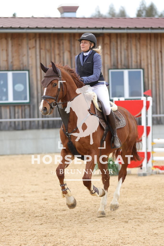 0P6A8050 | Willkommen bei Brunnmayr - Design & Fotografie – Ihrem Spezialisten für Reitturniere und Pferdeveranstaltungen in Oberösterreich, Salzburg und Bayern! Seit über 17 Jahren sind wir leidenschaftlich dabei.