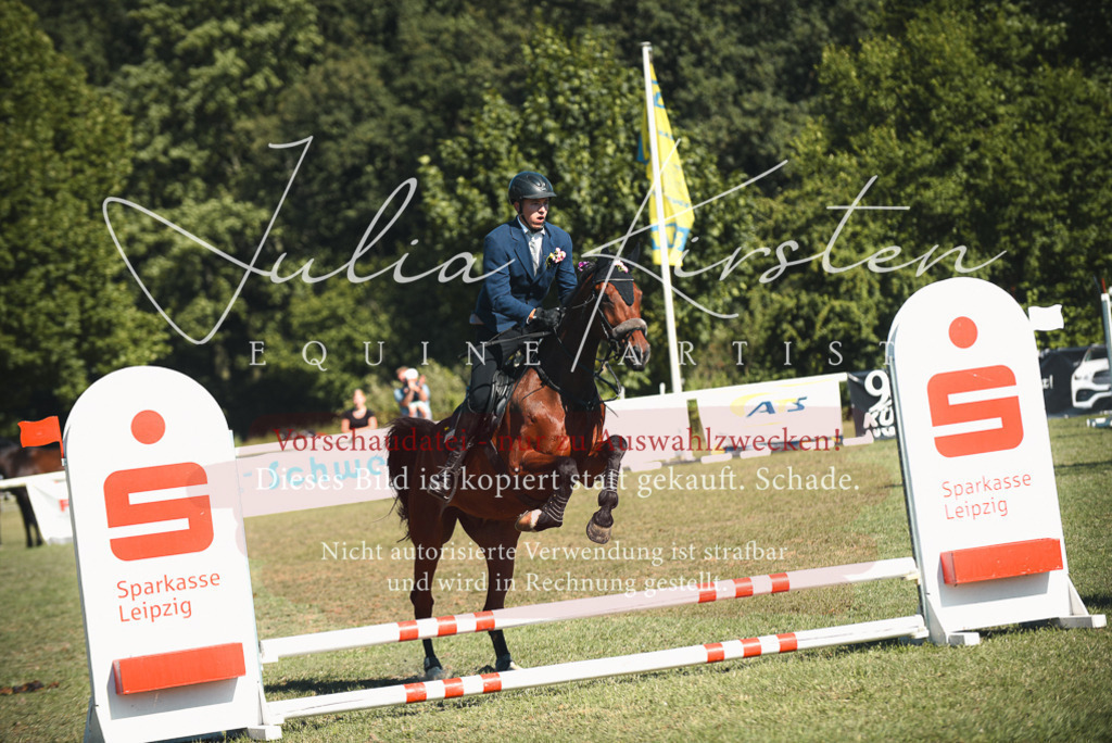 DSC_7704 | Pferde- und Turnierfotografie in Westsachsen. Pferdeportraits, Auftragszeichnungen und intuitive Kunst.