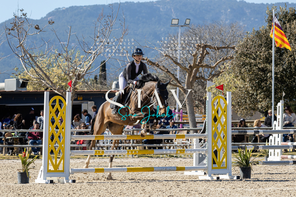 IMG_0689 | s-jay-photography - Realisiert mit Pictrs.com