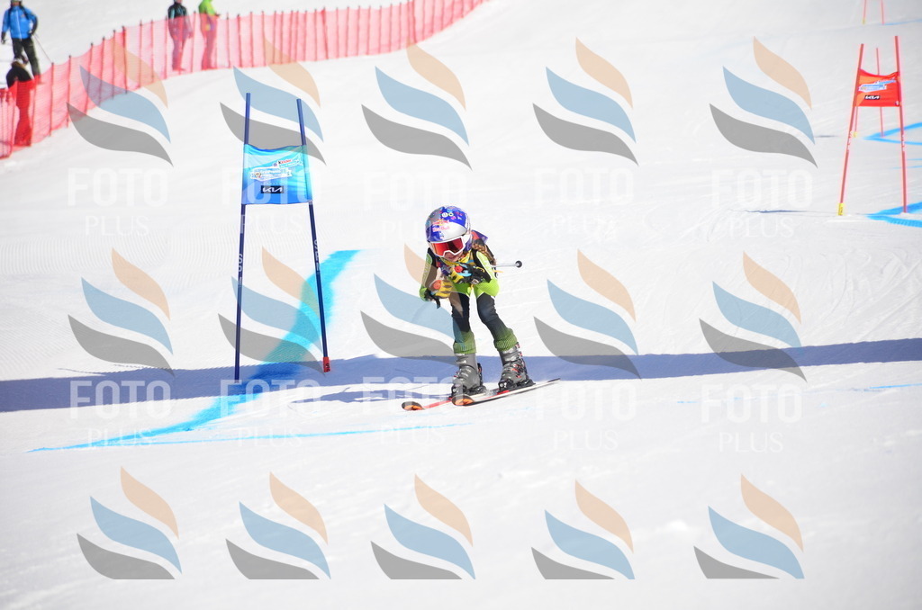 VR4_8934 | holidayphoto